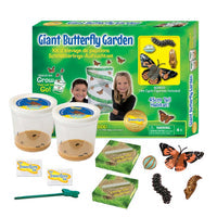 Giant Butterfly Garden Grow Your Butterflies Free Life Cycle