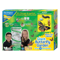 Giant Butterfly Garden Grow Your Butterflies Free Life Cycle